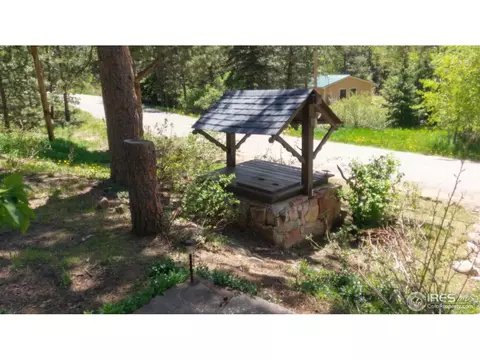 446 Riverside Dr, Lyons, CO 80540 photo 18