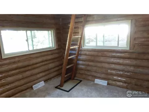 446 Riverside Dr, Lyons, CO 80540 photo 13