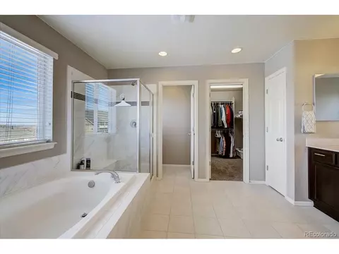 2256 Stonefish Dr, Windsor, CO 80550 photo 21