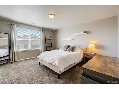 2256 Stonefish Dr, Windsor, CO 80550 photo 23