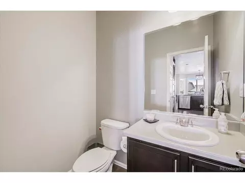 2256 Stonefish Dr, Windsor, CO 80550 photo 14