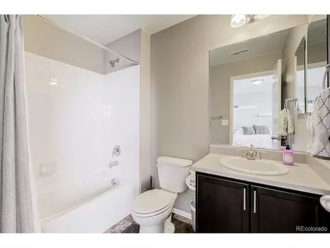 2256 Stonefish Dr, Windsor, CO 80550 photo 25