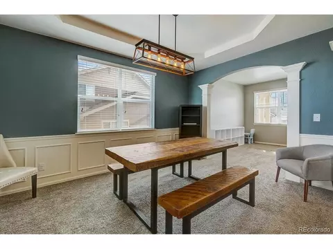 2256 Stonefish Dr, Windsor, CO 80550 photo 13