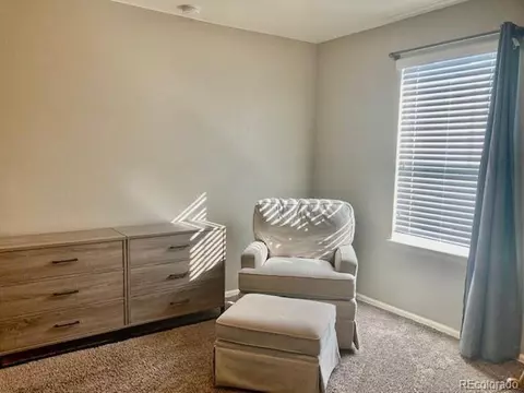 2256 Stonefish Dr, Windsor, CO 80550 photo 26
