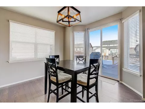 2256 Stonefish Dr, Windsor, CO 80550 photo 8