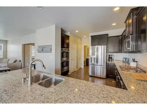 2256 Stonefish Dr, Windsor, CO 80550 photo 7