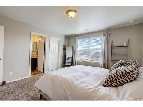 2256 Stonefish Dr, Windsor, CO 80550 photo 24