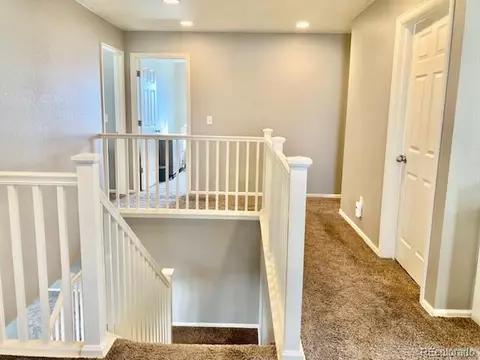 2256 Stonefish Dr, Windsor, CO 80550 photo 15