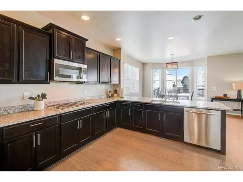 2256 Stonefish Dr, Windsor, CO 80550 photo 5