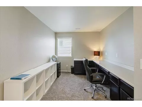 2256 Stonefish Dr, Windsor, CO 80550 photo 17