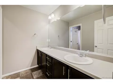 2256 Stonefish Dr, Windsor, CO 80550 photo 27