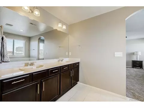 2256 Stonefish Dr, Windsor, CO 80550 photo 20