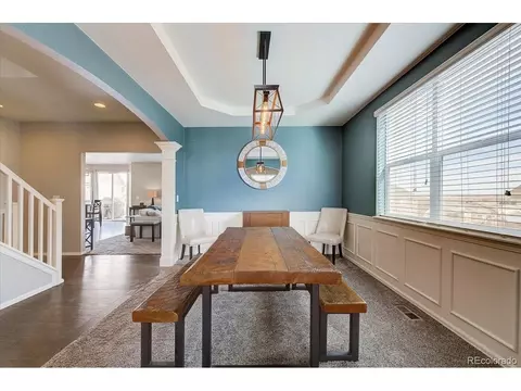 2256 Stonefish Dr, Windsor, CO 80550 photo 12