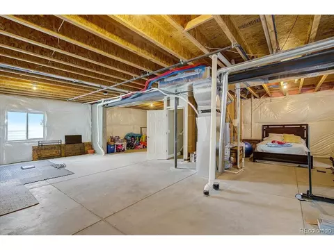 2256 Stonefish Dr, Windsor, CO 80550 photo 31