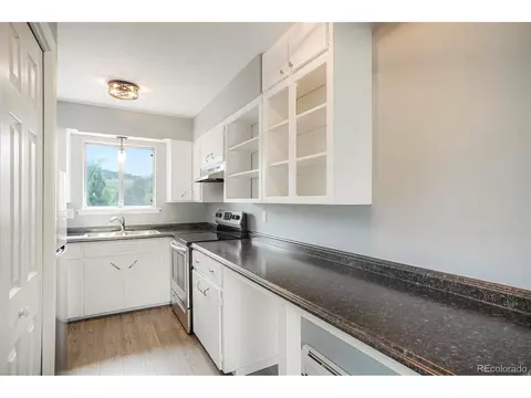 723 5th Ave, Lyons, CO 80540 photo 8