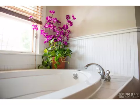 105 Walnut St, Windsor, CO 80550 photo 14