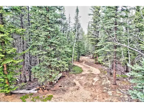 243 Bear Way, Como, CO 80432 photo 4