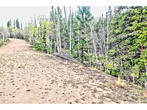 243 Bear Way, Como, CO 80432 photo 2