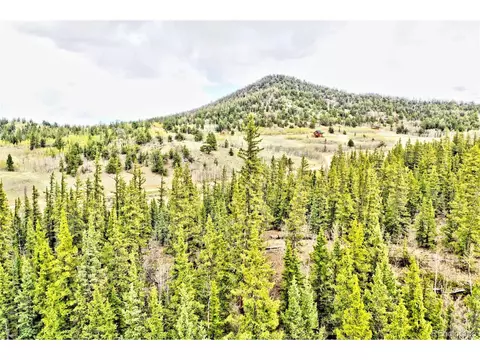 243 Bear Way, Como, CO 80432 photo 10