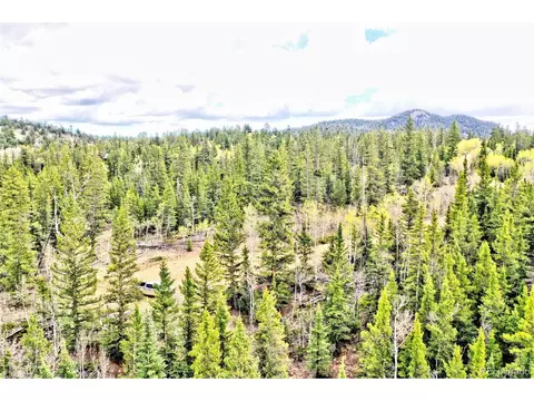 243 Bear Way, Como, CO 80432 photo 11