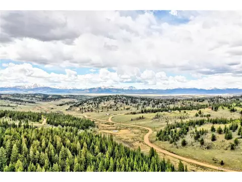 243 Bear Way, Como, CO 80432 photo 16