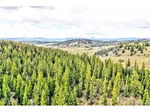 243 Bear Way, Como, CO 80432 photo 18