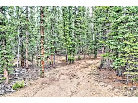 243 Bear Way, Como, CO 80432 photo 6
