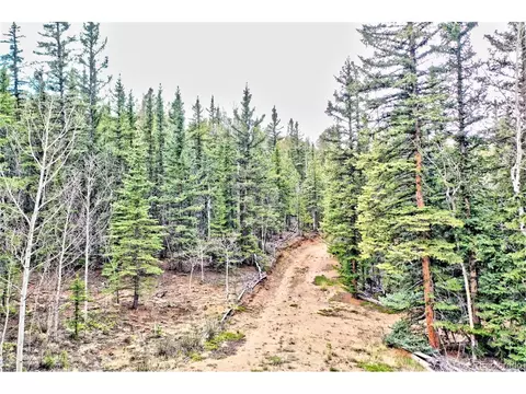 243 Bear Way, Como, CO 80432 photo 3