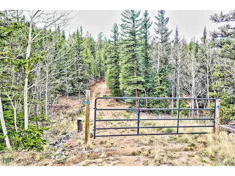 243 Bear Way, Como, CO 80432 photo 1