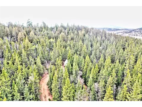 243 Bear Way, Como, CO 80432 photo 19