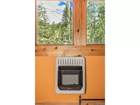112 Usfs 383, Divide, CO 80814 photo 16