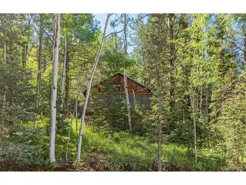 112 Usfs 383, Divide, CO 80814 photo 21