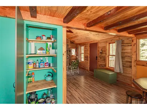 112 Usfs 383, Divide, CO 80814 photo 9