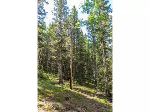 112 Usfs 383, Divide, CO 80814 photo 17