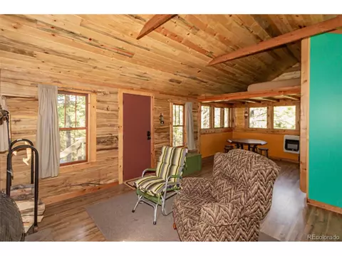 112 Usfs 383, Divide, CO 80814 photo 8