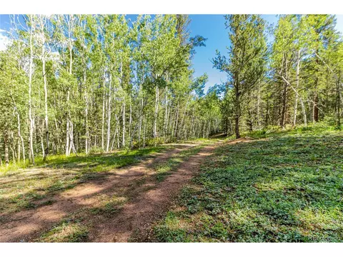 112 Usfs 383, Divide, CO 80814 photo 20