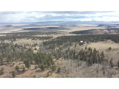 161 Kaufman Rd, Hartsel, CO 80449