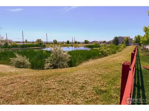 521 E 77th Dr, Denver, CO 80229 photo 21