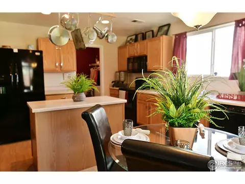 521 E 77th Dr, Denver, CO 80229 photo 5