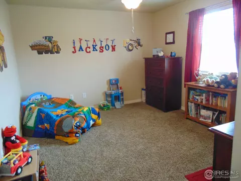 443 Wind River Dr, Windsor, CO 80550 photo 21