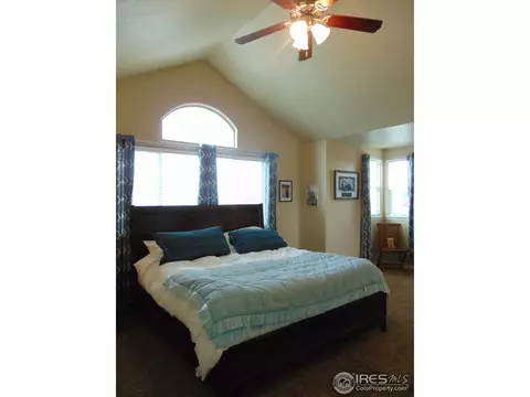 443 Wind River Dr, Windsor, CO 80550 photo 15