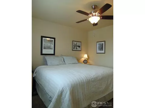 443 Wind River Dr, Windsor, CO 80550 photo 22
