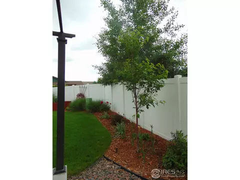 443 Wind River Dr, Windsor, CO 80550 photo 31