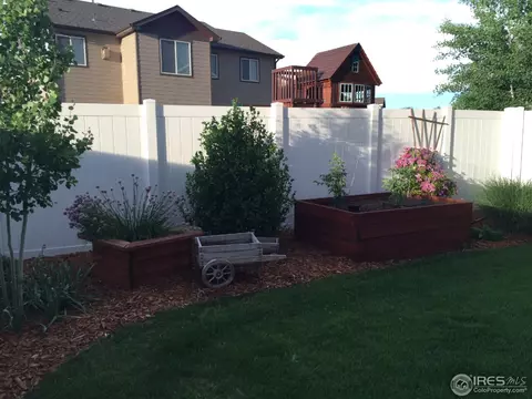 443 Wind River Dr, Windsor, CO 80550 photo 33