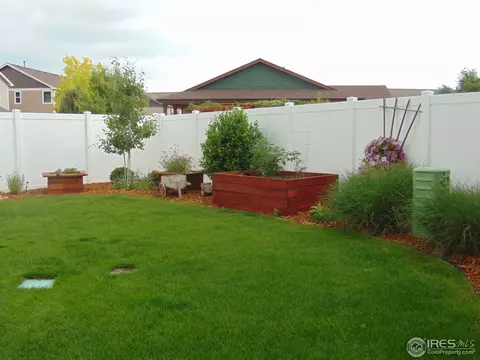 443 Wind River Dr, Windsor, CO 80550 photo 32
