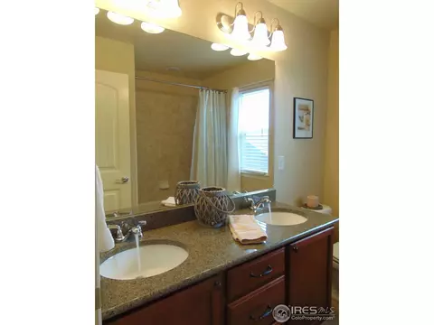 443 Wind River Dr, Windsor, CO 80550 photo 23