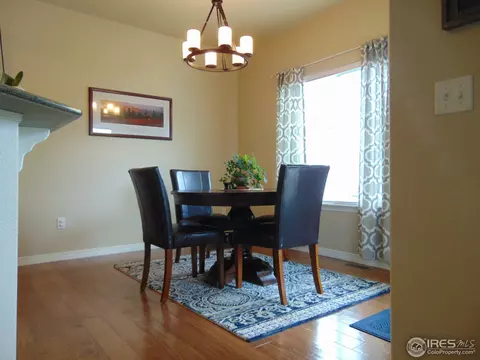 443 Wind River Dr, Windsor, CO 80550 photo 11