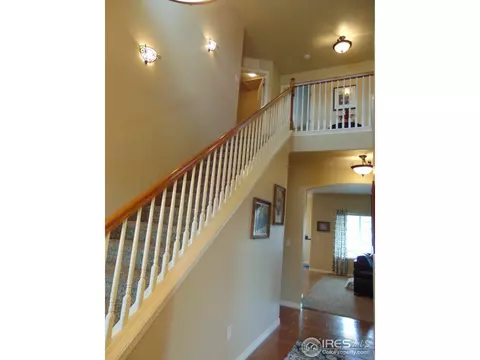 443 Wind River Dr, Windsor, CO 80550 photo 4