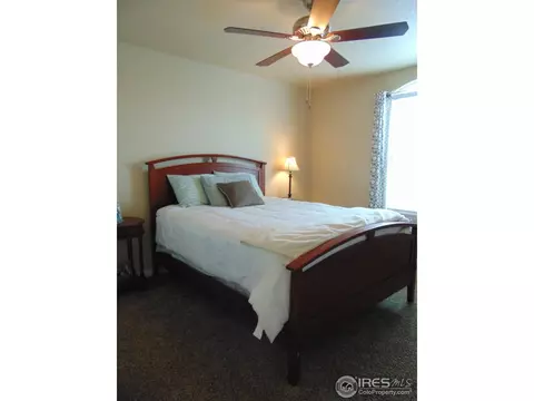 443 Wind River Dr, Windsor, CO 80550 photo 24