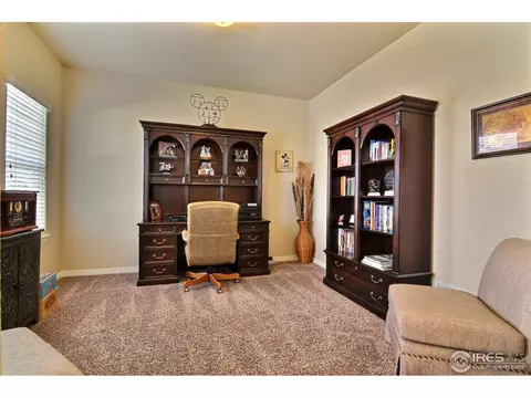 469 Wind River Dr, Windsor, CO 80550 photo 14